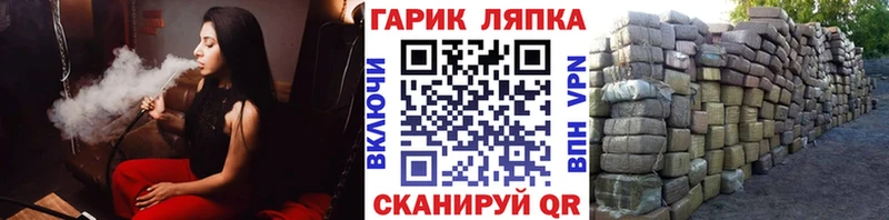 где купить наркоту  Чегем  ГАШ индика сатива 