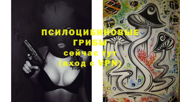 прущая мука Медвежьегорск