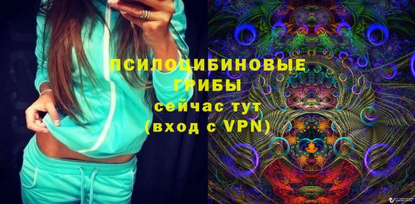 СК Мегион